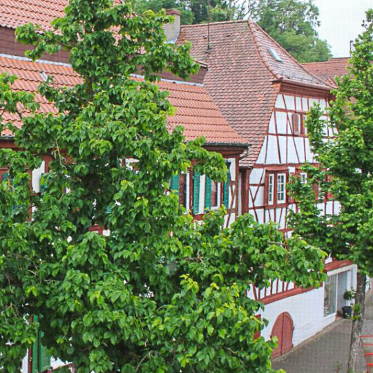 Intensivpflege Wohngruppe in Sinsheim